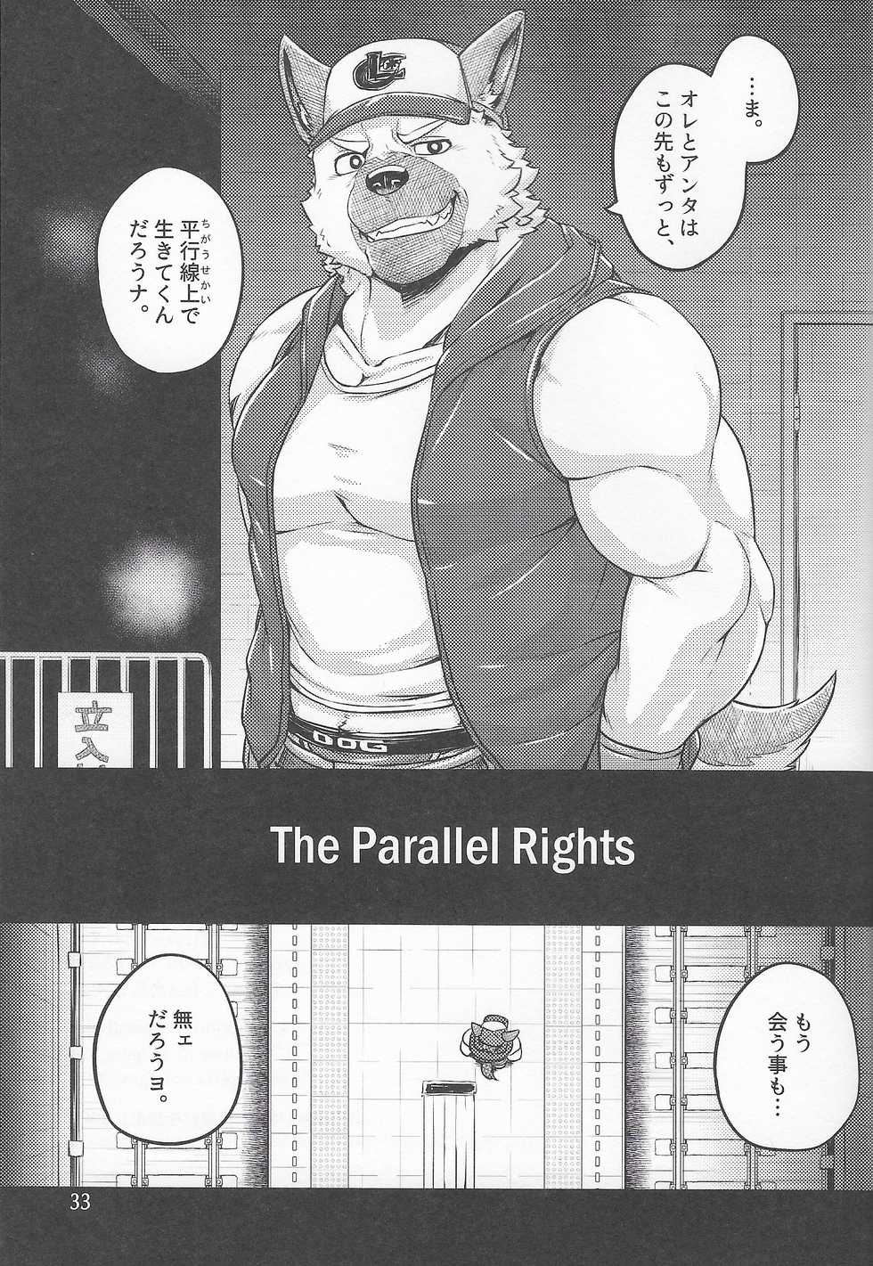 (C97) [Yakijaketeishoku (Kishiguma)] Parallel Rights - Page 33