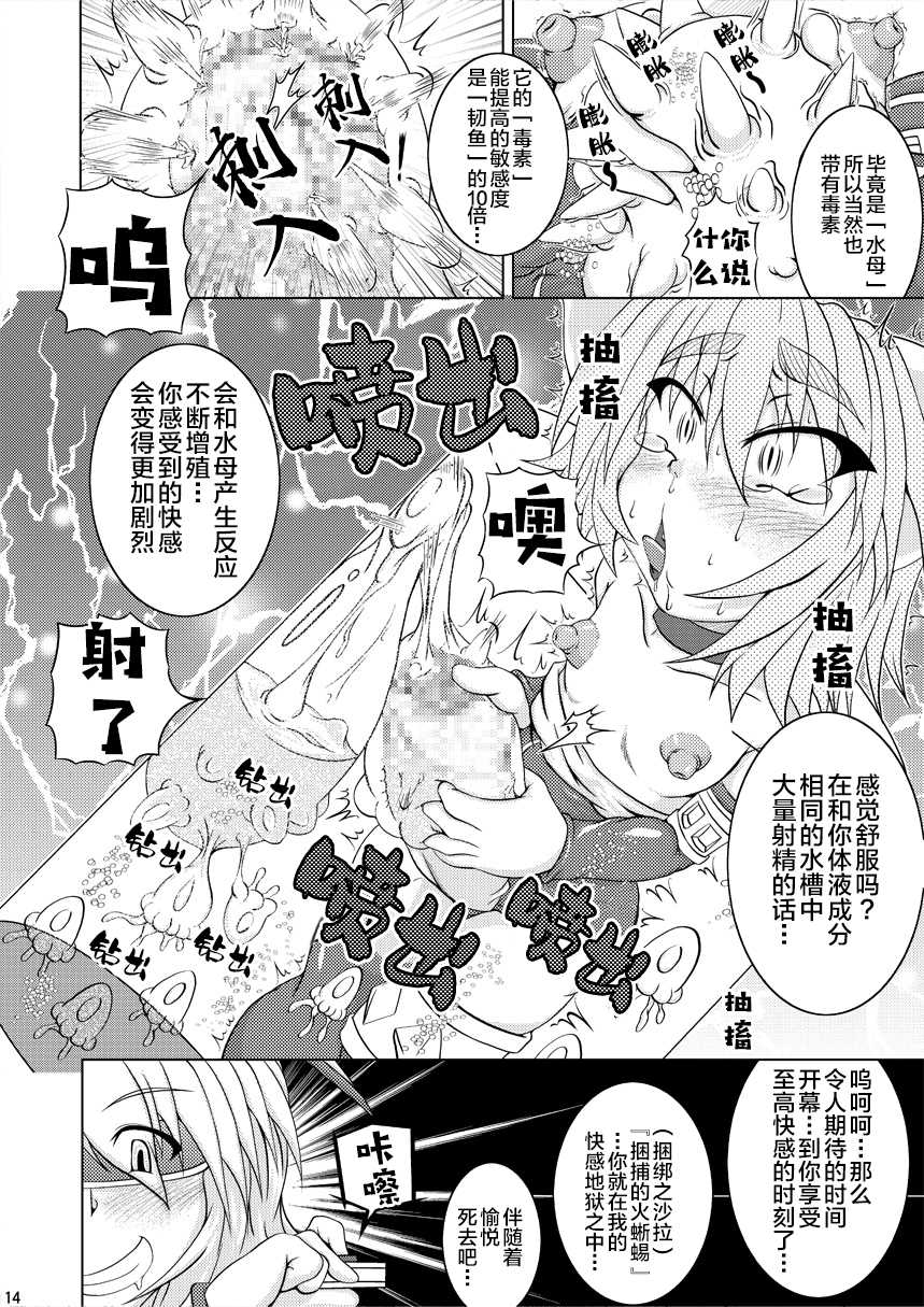 (C79) [Stratos (Akan Tare)] Syadansyoujo Astral vs Salamander (part 1) [Chinese] [新桥月白日语社] - Page 13