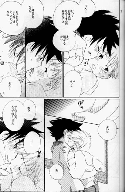 [Cocoon (Mizuuchi Mayuko)] Kiss no Sekai (Digimon Adventure 02) - Page 14