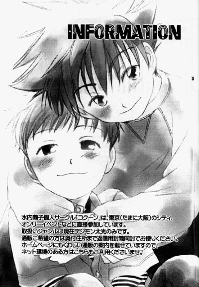 [Cocoon (Mizuuchi Mayuko)] Kiss no Sekai (Digimon Adventure 02) - Page 34