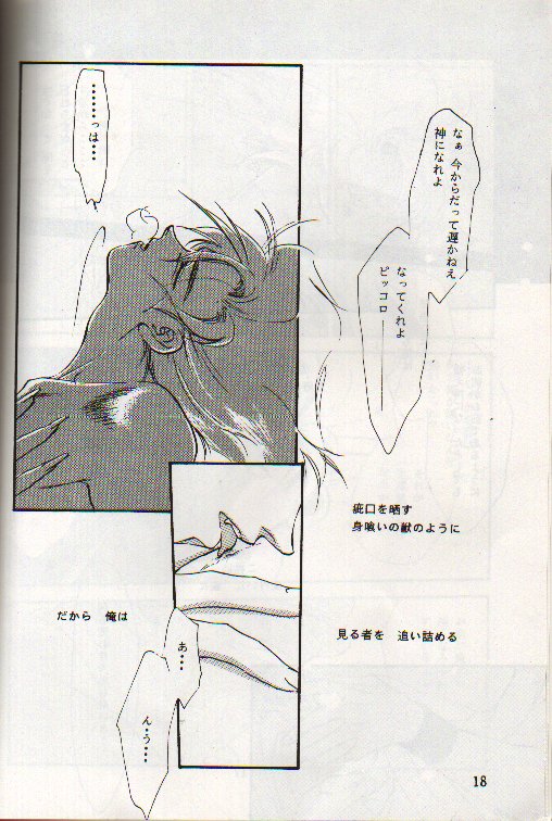 [CRESCENT (Takamura Asao)] Kuuchuu Teien VOL.4 (Dragonball) - Page 17