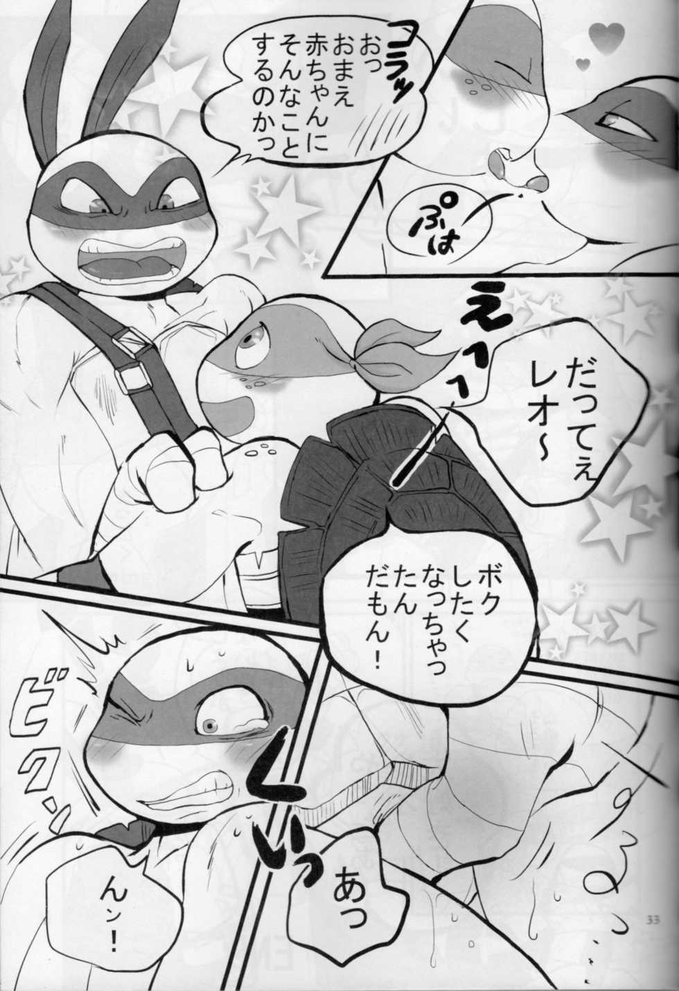 [HONEY LUSH] Michelangelo x Leonardo Anthology (Teenage Mutant Ninja Turtles) [japanese] - Page 33