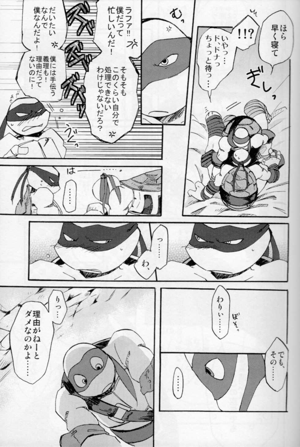 [jagatomaland] VIORED+ (Teenage Mutant Ninja Turtles)  [Japanese] - Page 20