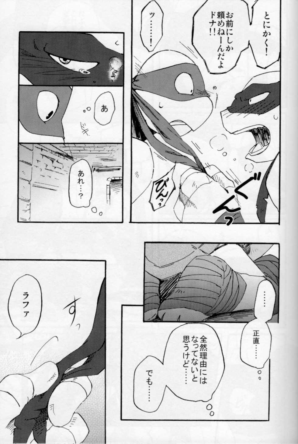 [jagatomaland] VIORED+ (Teenage Mutant Ninja Turtles)  [Japanese] - Page 22
