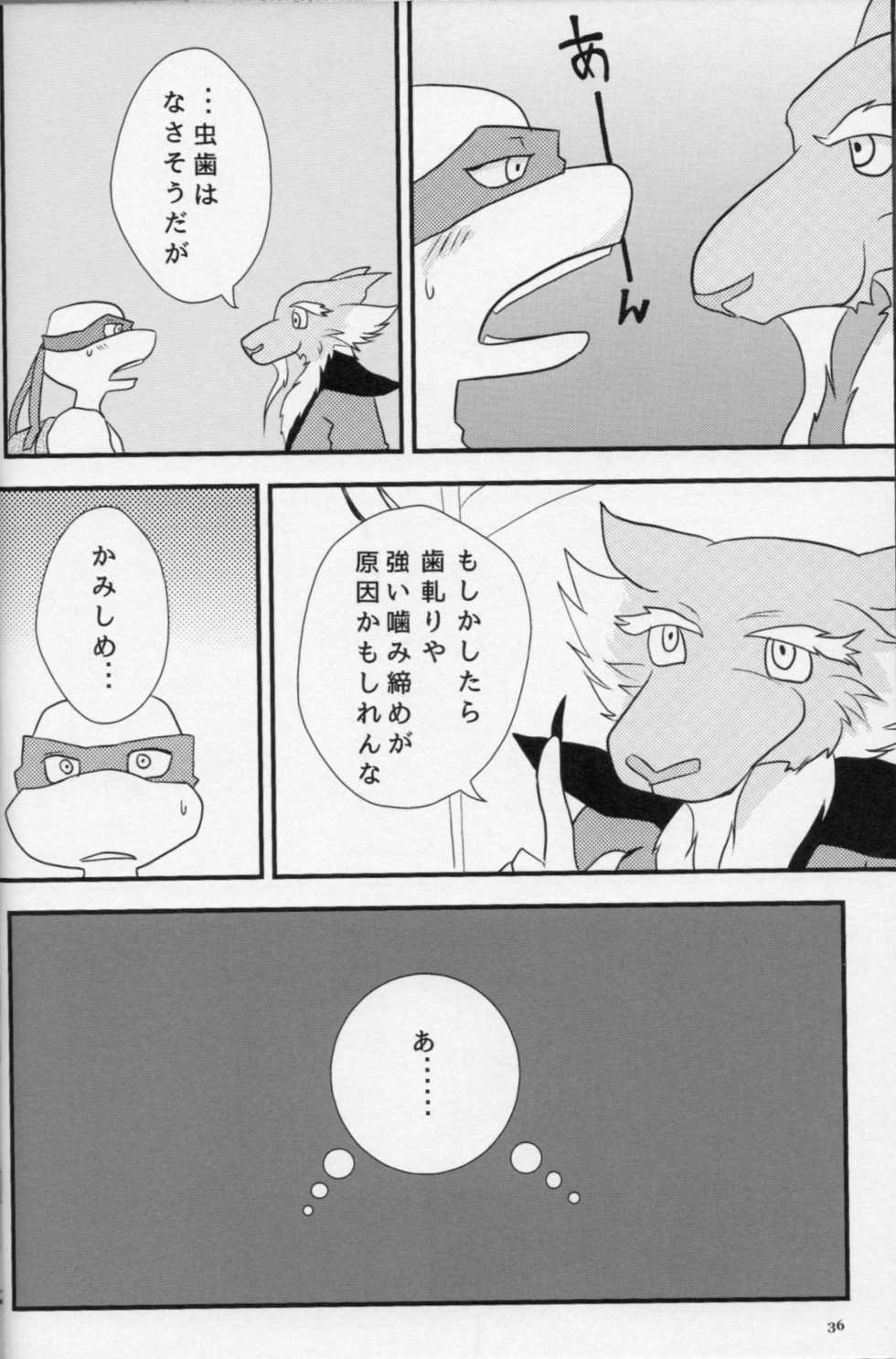 [jagatomaland] VIORED+ (Teenage Mutant Ninja Turtles)  [Japanese] - Page 35