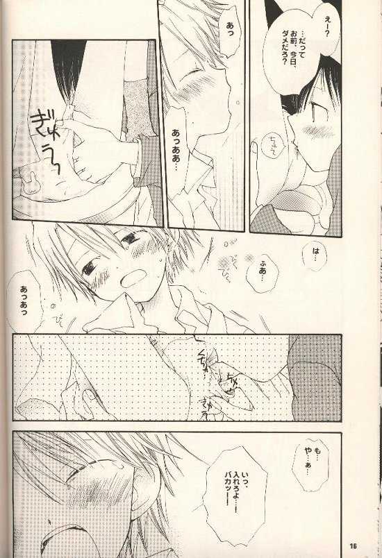 [Gekkou Touzoku, PIKAPIKA (Nobi Nobita, Takahashi Mako)] Iya Yo Dame Yo Gaman Nasatte. (Digimon Adventure 02) - Page 15