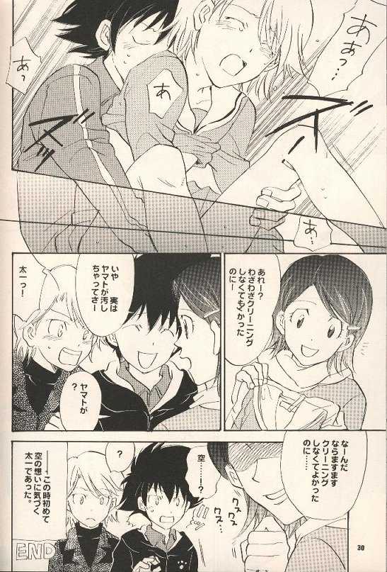 [Gekkou Touzoku, PIKAPIKA (Nobi Nobita, Takahashi Mako)] Iya Yo Dame Yo Gaman Nasatte. (Digimon Adventure 02) - Page 29