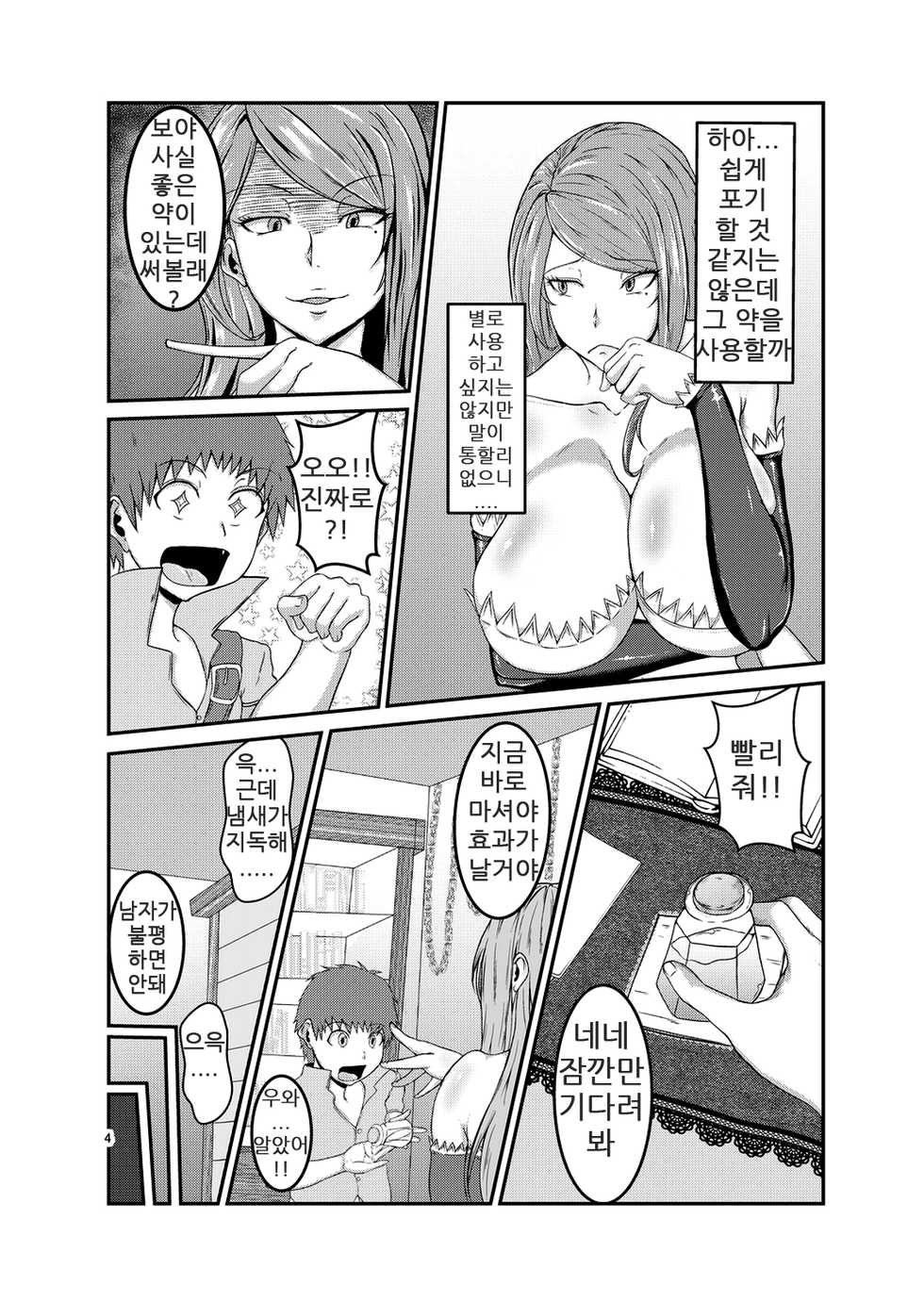 [Kazama Dojo (Mucc)] Miwaku no Mahoutsukai | 매혹의 마법사 (Dragon's Crown) [Korean] [Digital] - Page 3