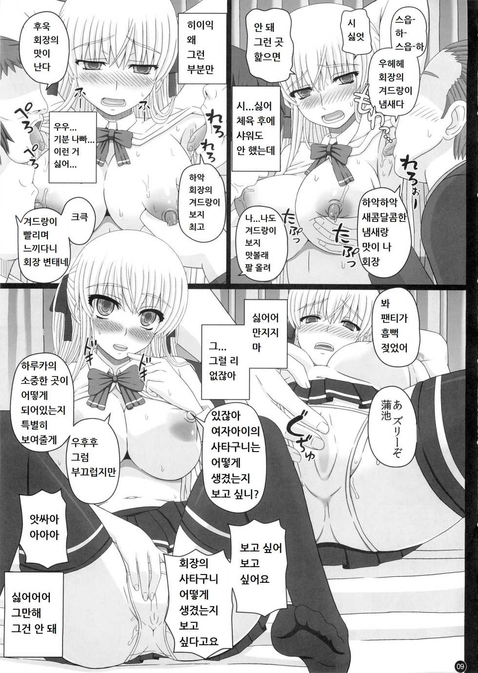 (C88) [Shiawase Kyouwakoku (Shiawase no Katachi)] Katashibut 0-2-15-shuu [Korean] - Page 10