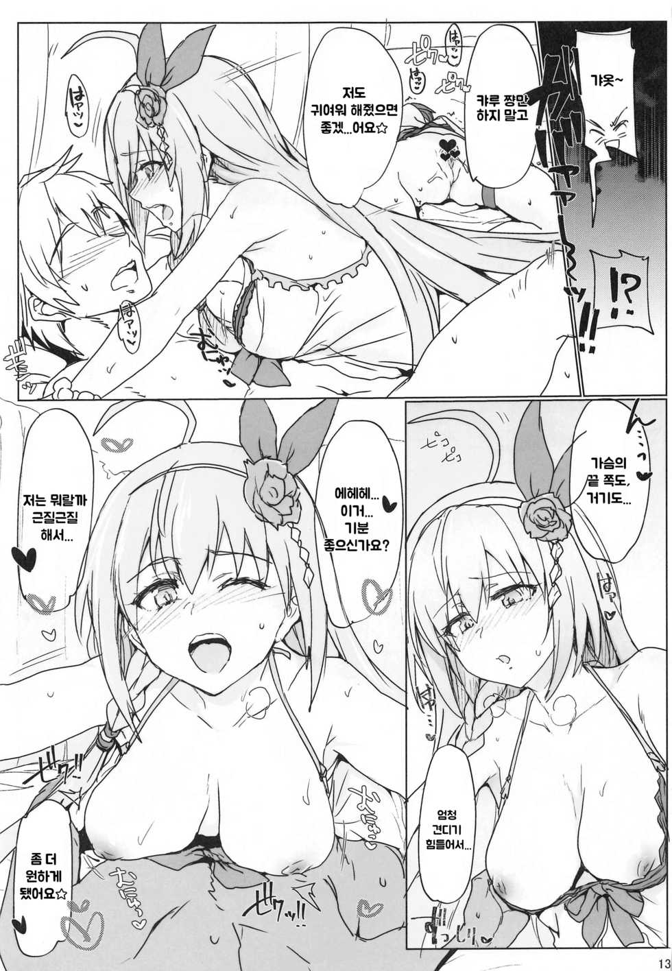 (COMIC1☆17) [RIBI Dou (Higata Akatsuki)] Echi Conne Diary. (Princess Connect! Re:Dive) [Korean] - Page 12