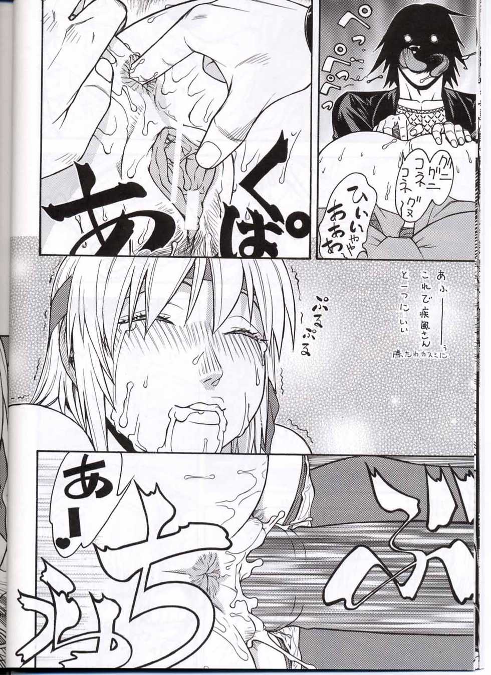 (CR30) [From Japan (Aki Kyouma)] FIGHTERS GIGAMIX FGM Vol.13.5 (Dead or Alive) - Page 13