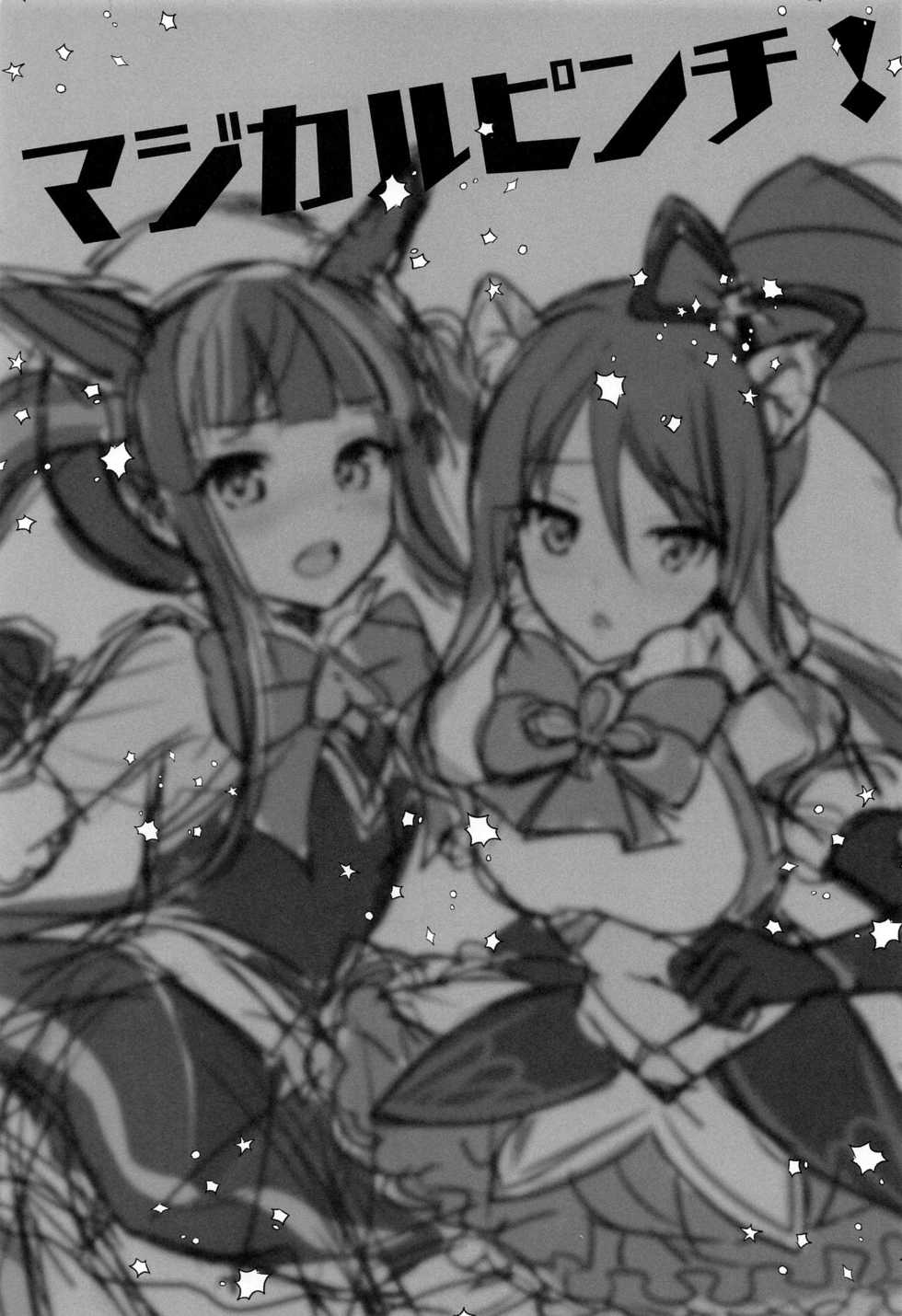 (Osaka & Nagoya Doujinsai) [fake69rose (Yanagi Asahi)] Magical Pinch! (Princess Connect! Re:Dive) [Korean] - Page 2