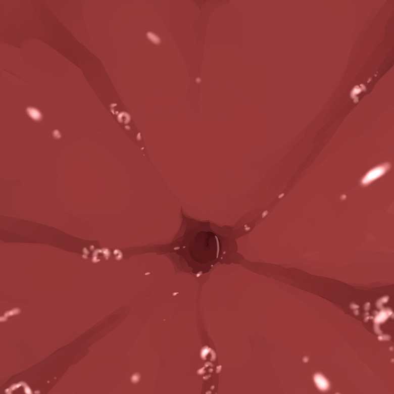 [parins] Going inside of a girl's stomach - Page 15