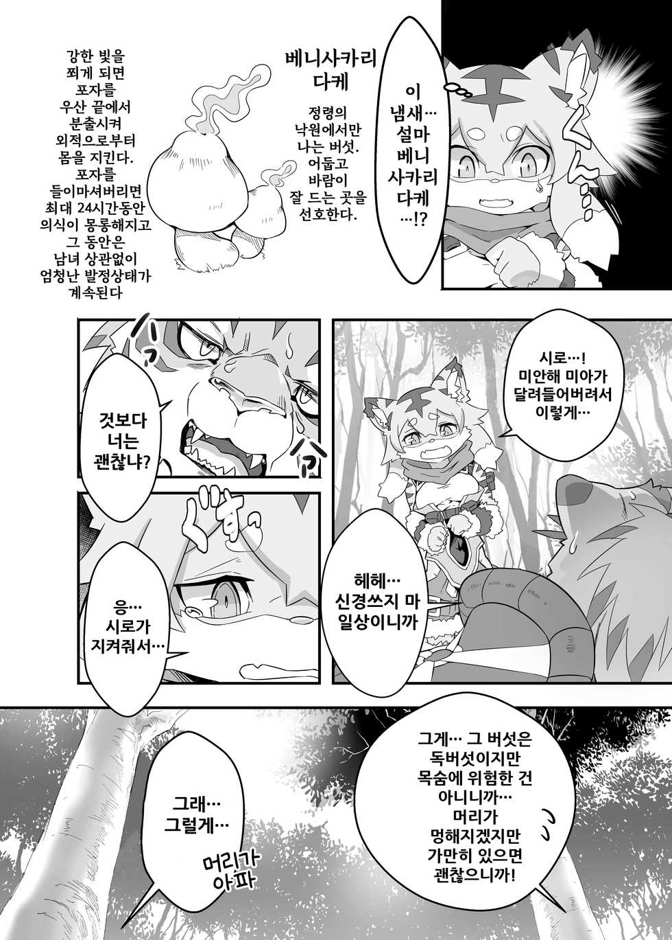 [Tamanokoshi (Tamanosuke)] Mia Hunter | 미아 헌터 (World Flipper) [Korean] [나나치 저장소] [Digital] - Page 6