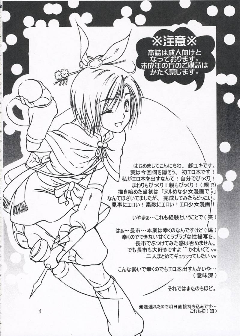 (C68) [Ray Flood (Ayaginu Yuki)] Chirimen Renka (Sengoku Musou) - Page 3