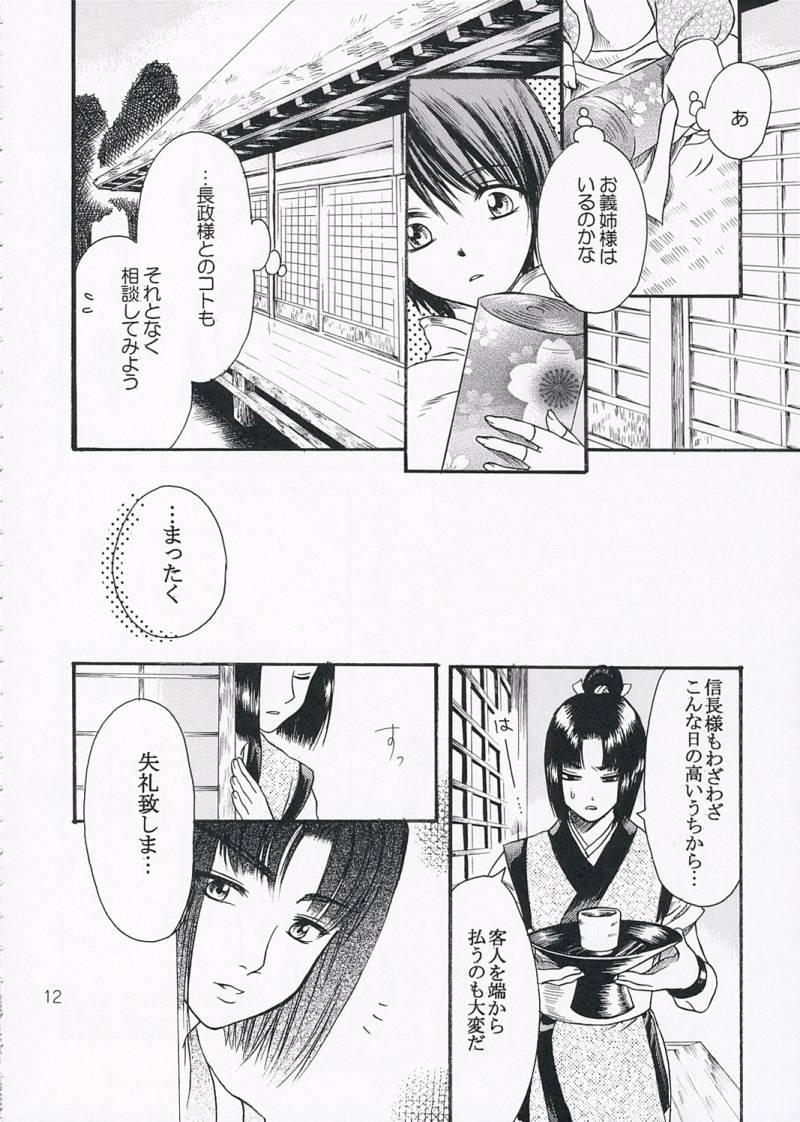 (C68) [Ray Flood (Ayaginu Yuki)] Chirimen Renka (Sengoku Musou) - Page 11