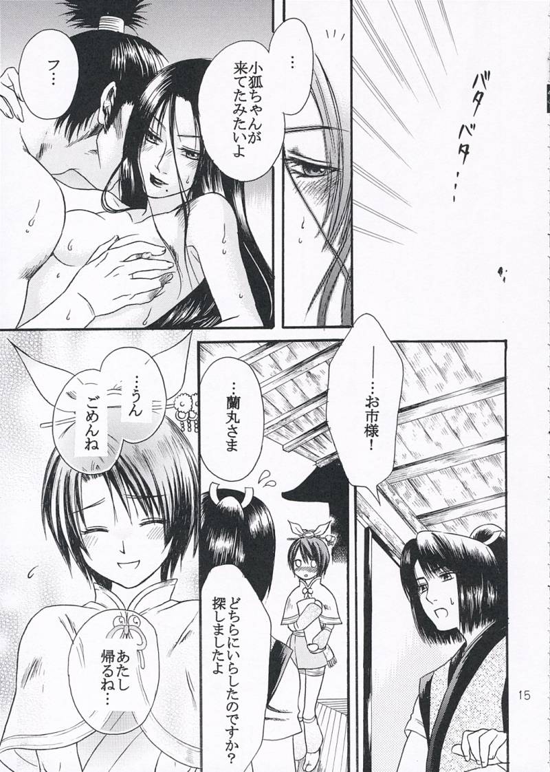 (C68) [Ray Flood (Ayaginu Yuki)] Chirimen Renka (Sengoku Musou) - Page 14