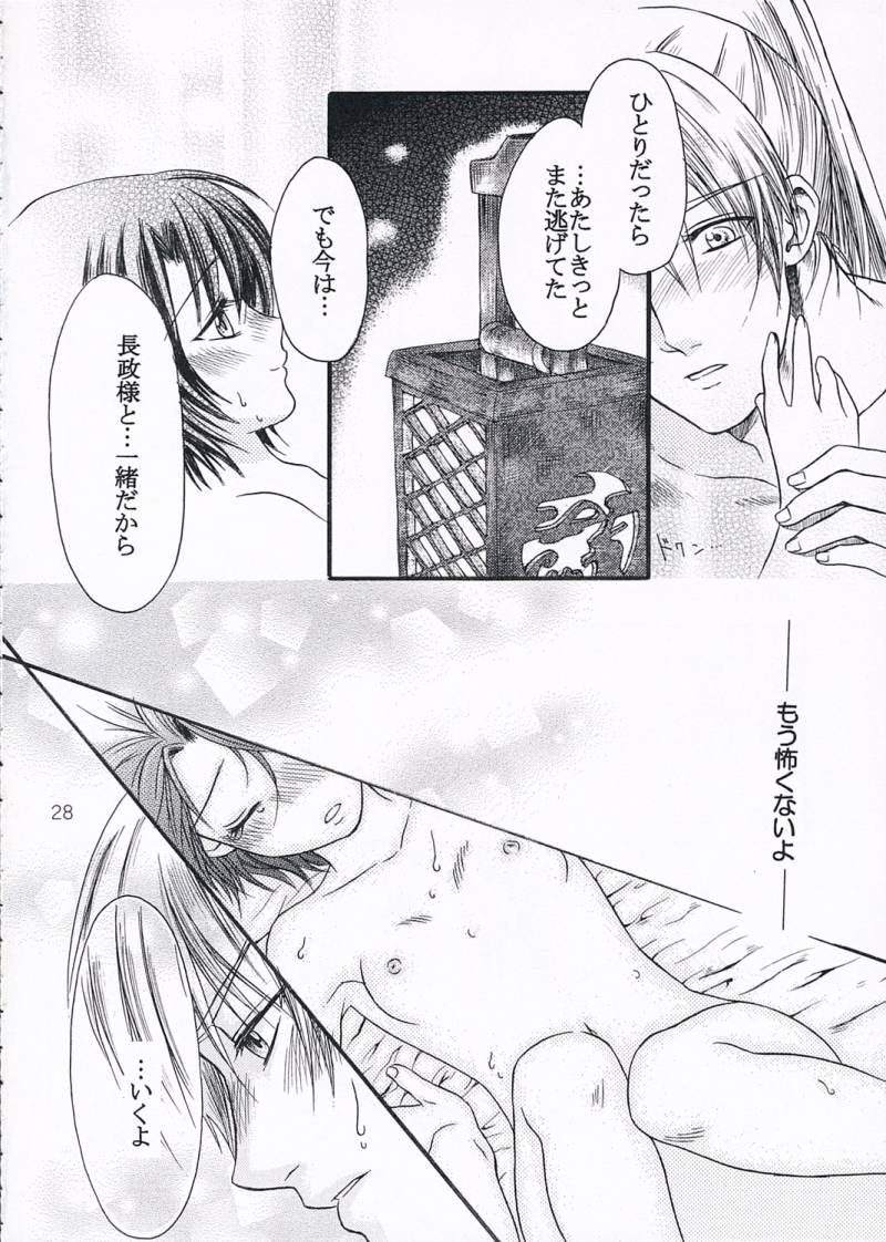 (C68) [Ray Flood (Ayaginu Yuki)] Chirimen Renka (Sengoku Musou) - Page 27