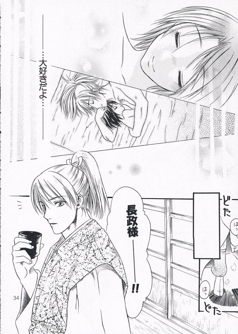 (C68) [Ray Flood (Ayaginu Yuki)] Chirimen Renka (Sengoku Musou) - Page 33