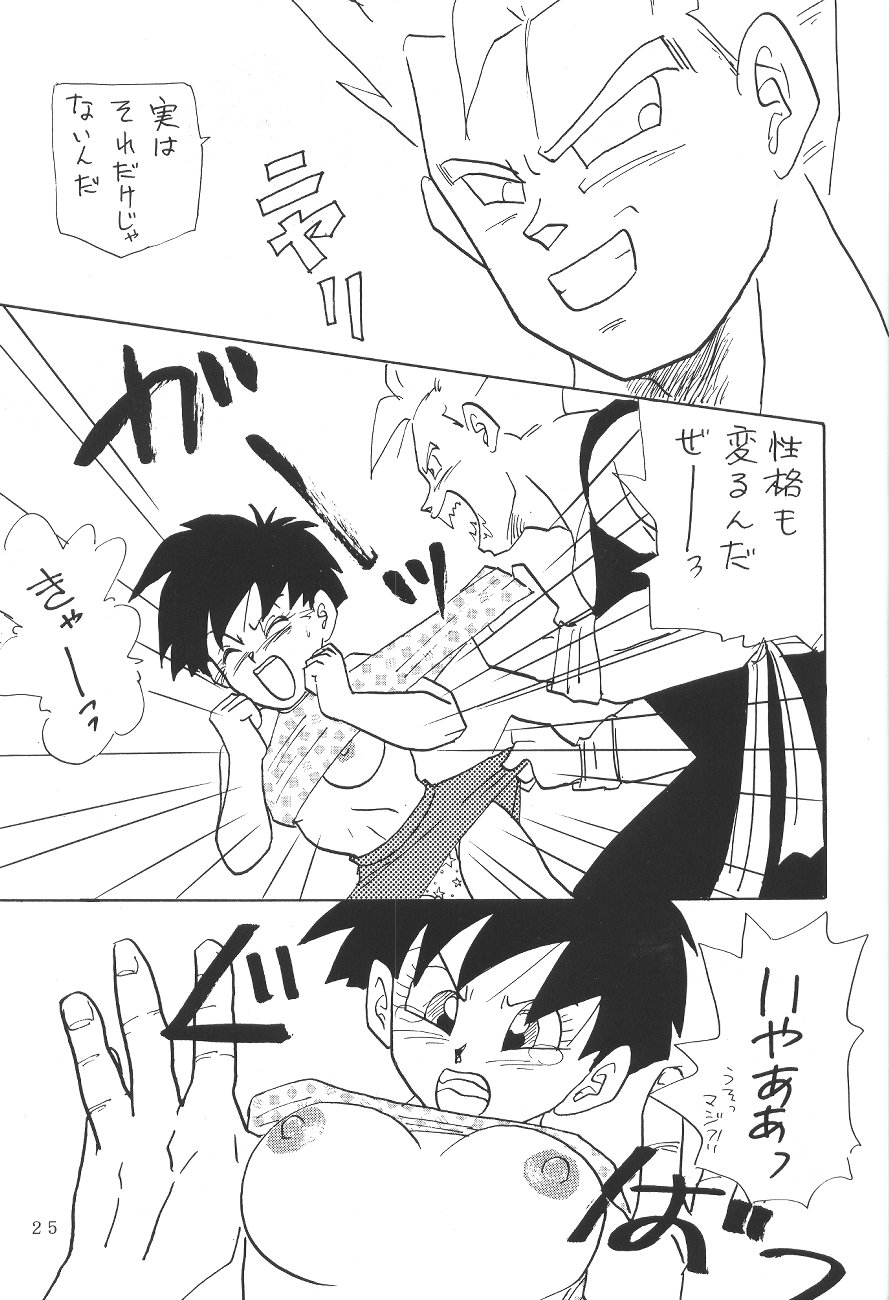 (C45) [Chirigami Goya, Fusuma go Ten (Shoji Hariko)] XXX (DRAGON BALL) - Page 24