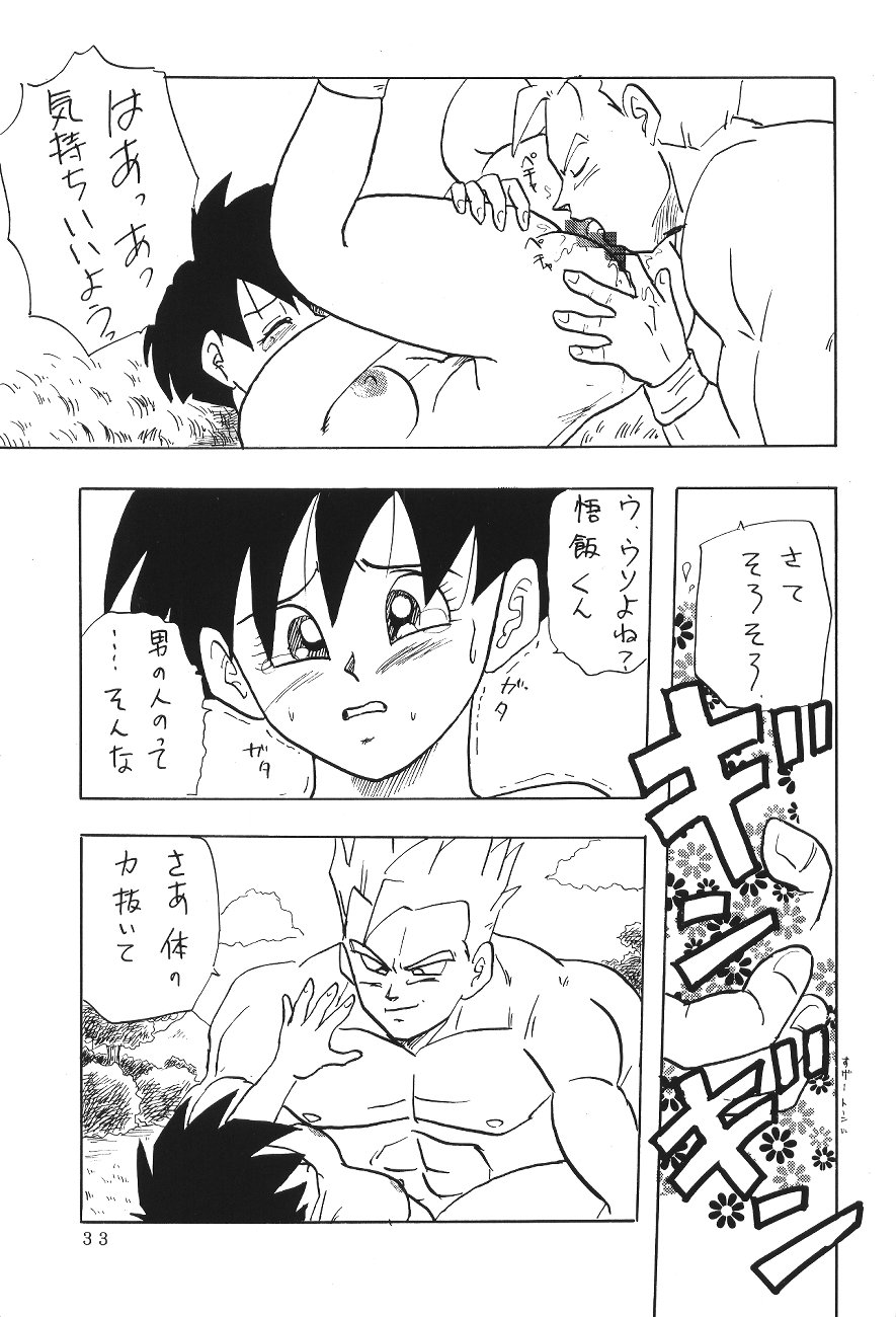 (C45) [Chirigami Goya, Fusuma go Ten (Shoji Hariko)] XXX (DRAGON BALL) - Page 32