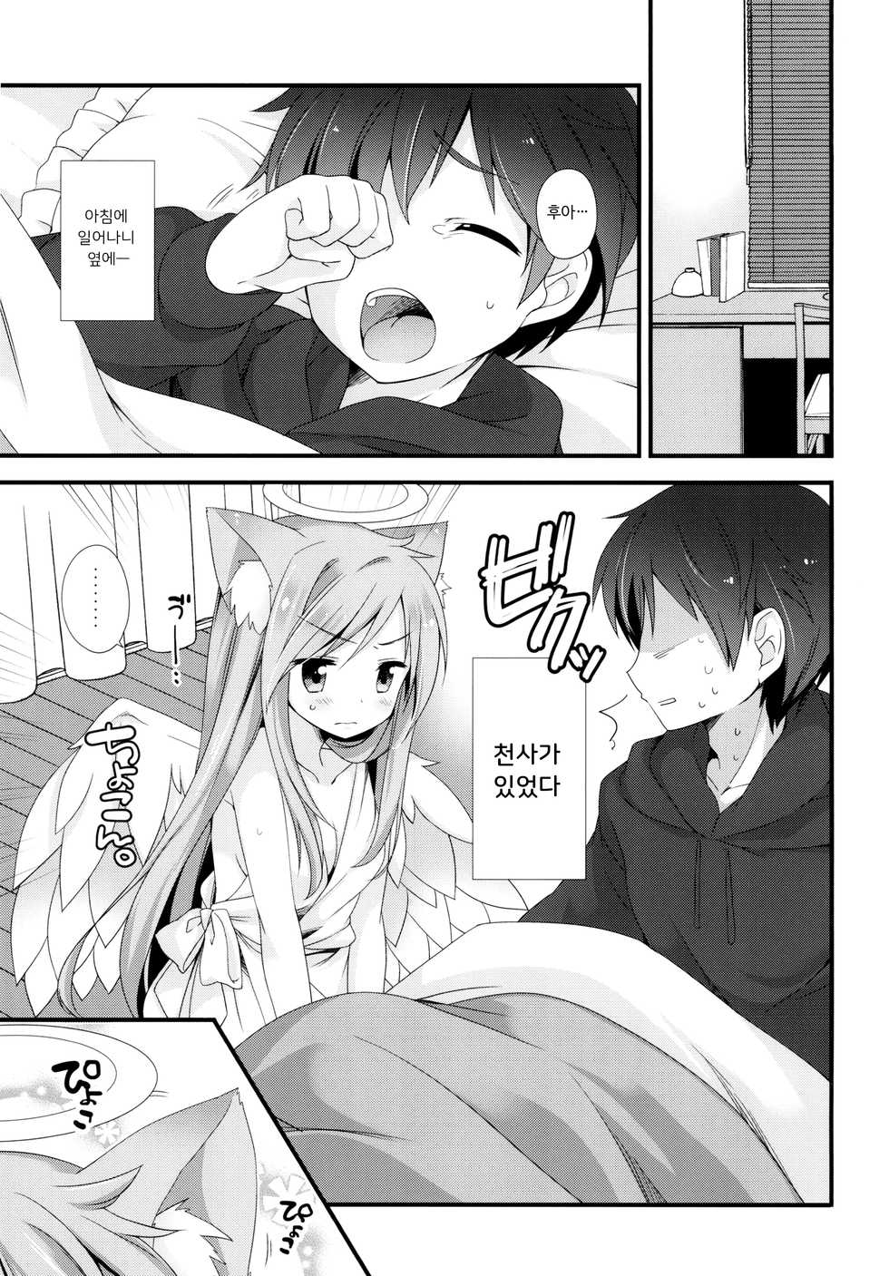 (COMITIA122) [Momo9 (Shiratama Yomogi)] Neko Tenshi-sama | 고양이 천사님 [Korean] - Page 3