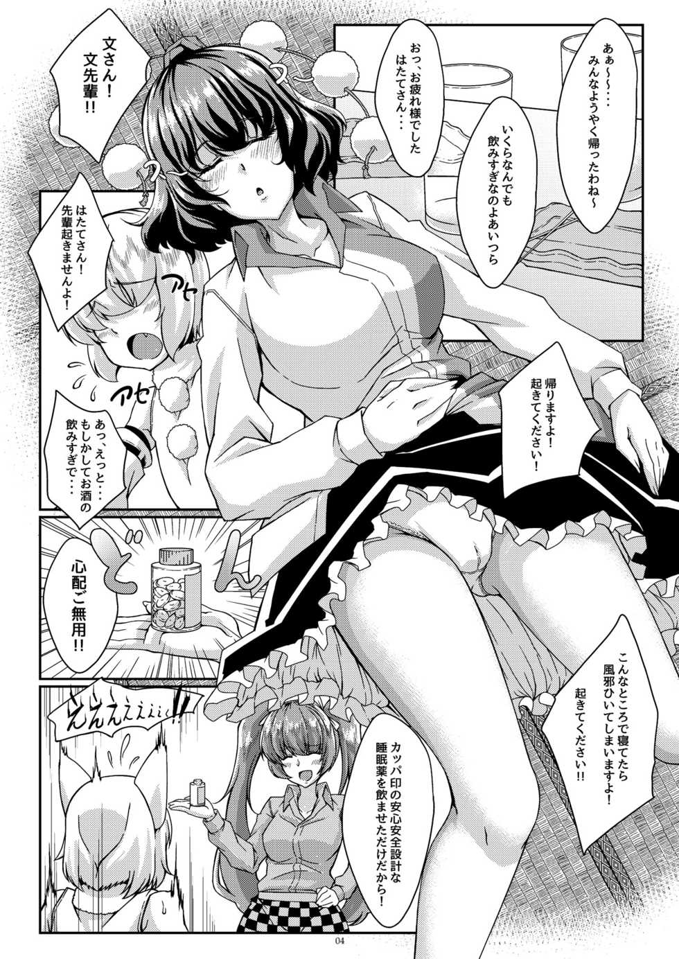 [Guild Plus (tatsuya)] Aya-oneechan ga Neteru ma ni Ecchi shichau Hon (Touhou Project) - Page 3
