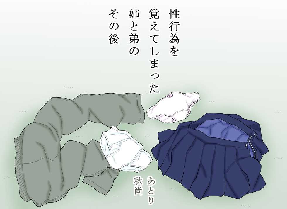 [Atori Akinao (Atori K)] Seikoui o Oboete shimatta Ane to Otouto no Sonogo - Page 3
