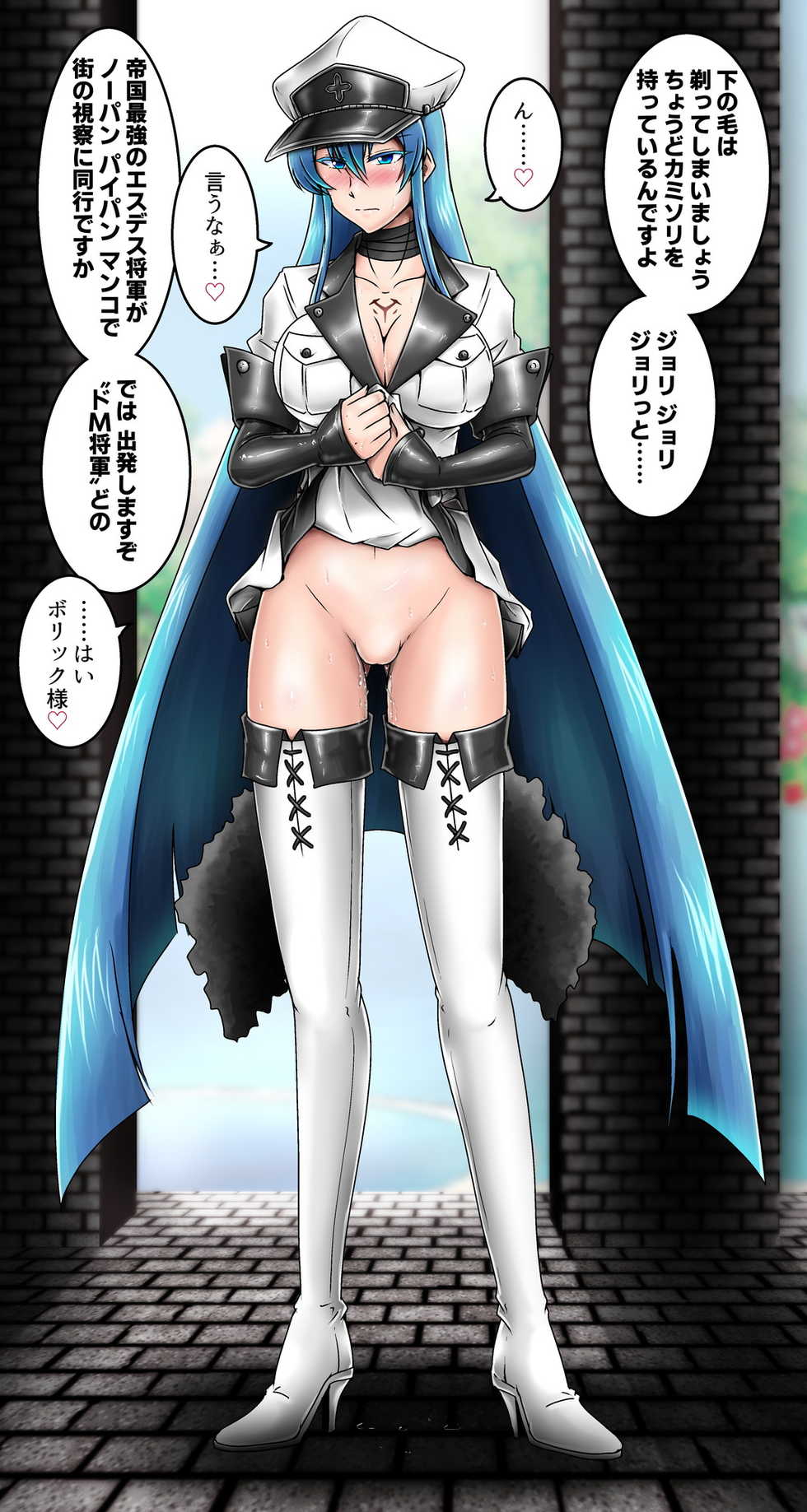 [Tasuro Kuzuha]  No-Pan Choukyouchuu_Esdeath (Akame ga Kill!) - Page 5