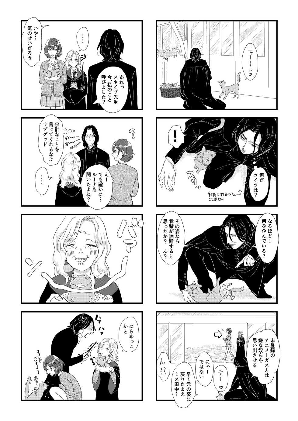 [Matsuko04] Professor Snape and the Hufflepuff transfer student (Harry Potter) - Page 11