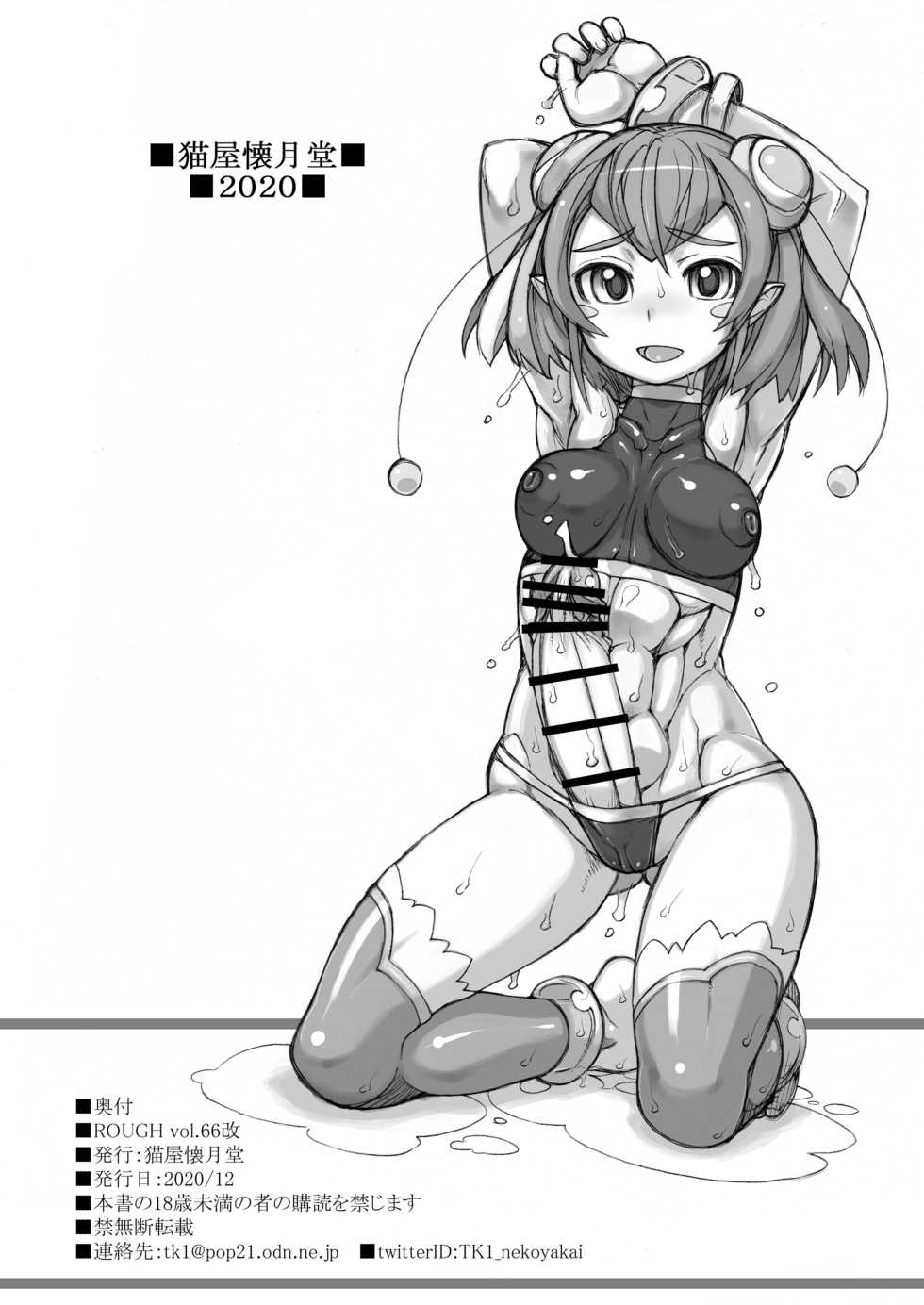 [Nekoya Kaigetsudou (T.K-1)] ROUGH Vol. 66 Kai (Star Twinkle PreCure) - Page 12