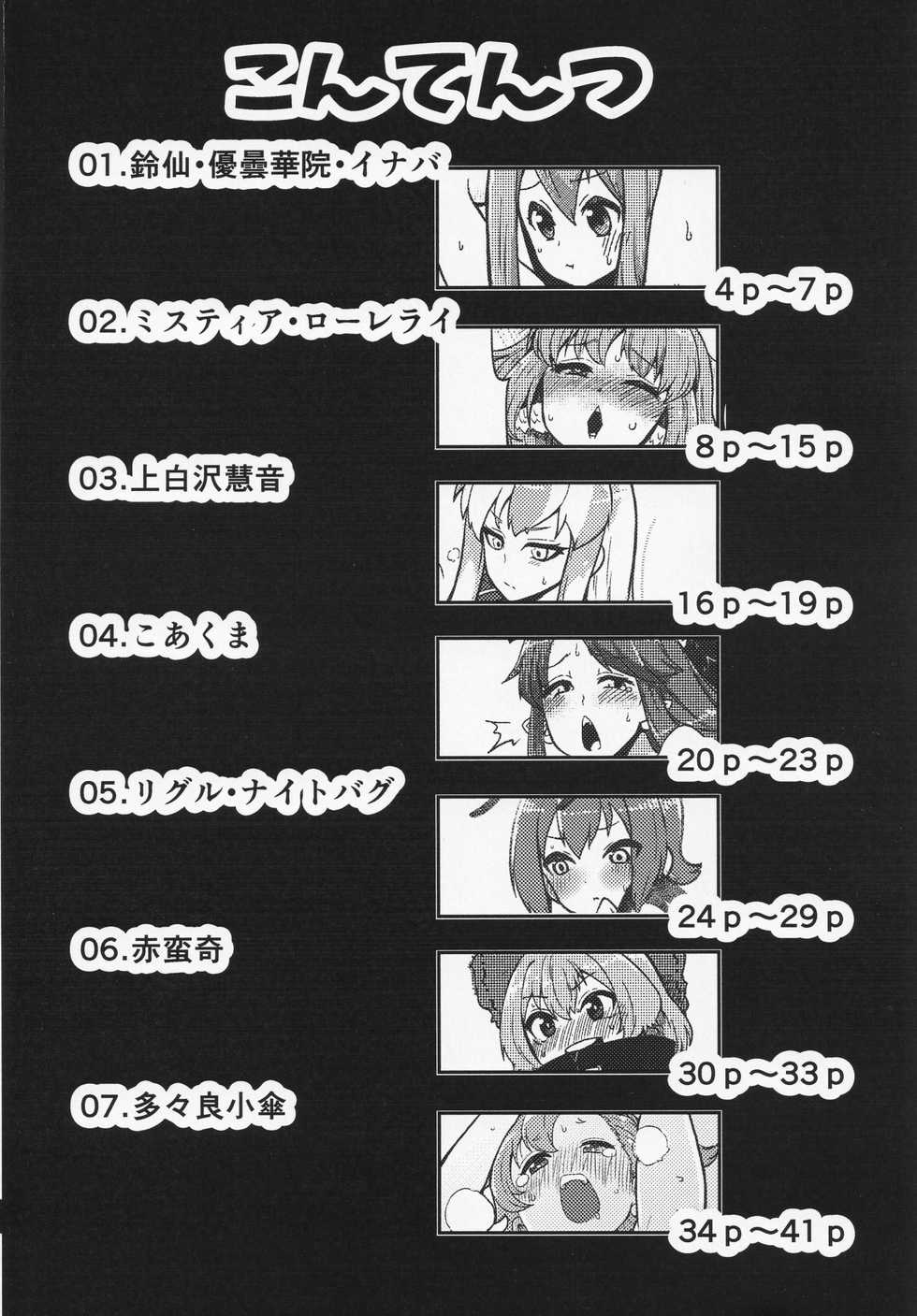 [Shoujo Rakugakichuu (Himajin no Izu)] skeb na Gensou Shoujo Shuu (Touhou Project) - Page 3