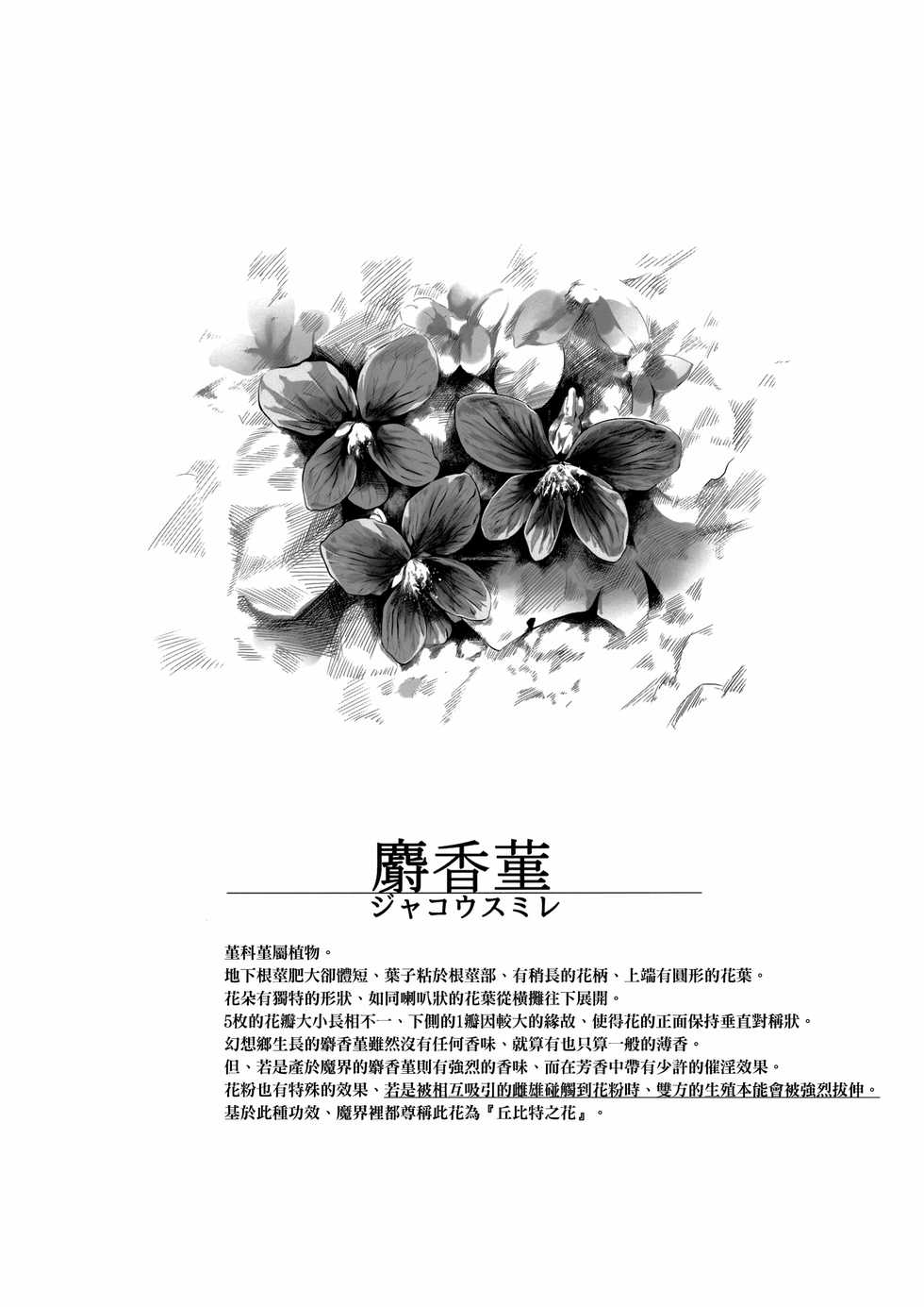 (C96) [Yorunobando (Mayonaka Taroupho)] Sweet days (Touhou Project) [Chinese] [oo君個人漢化] - Page 4