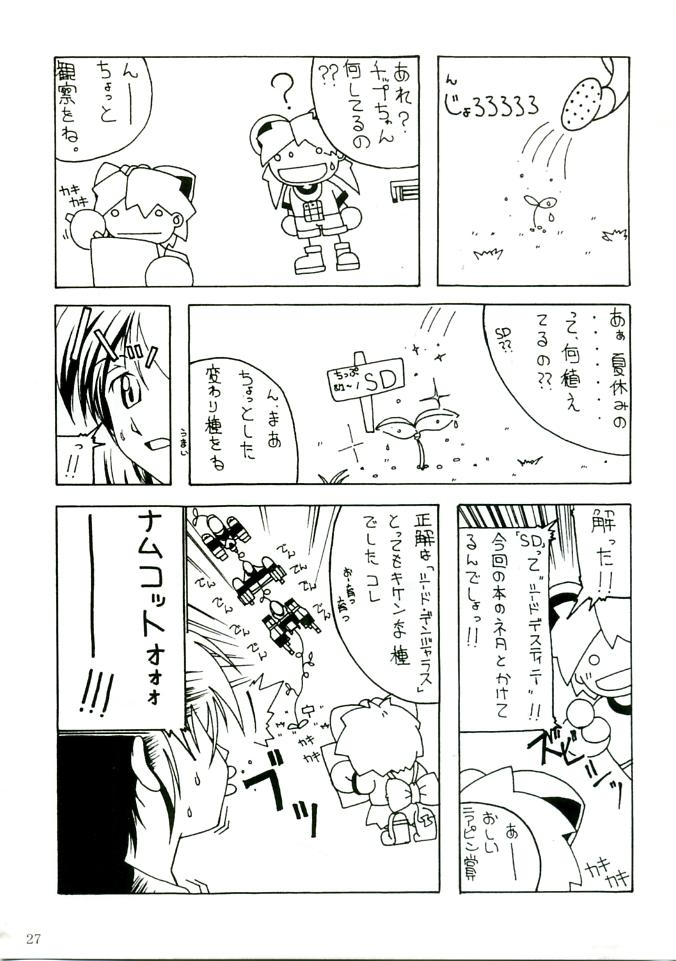 (C68) [AKKAN-Bi PROJECT (Yanagi Hirohiko)] RED BRAVO (Mobile Suit Gundam Seed Destiny) [French] {SAXtrad} [Decensored] - Page 26