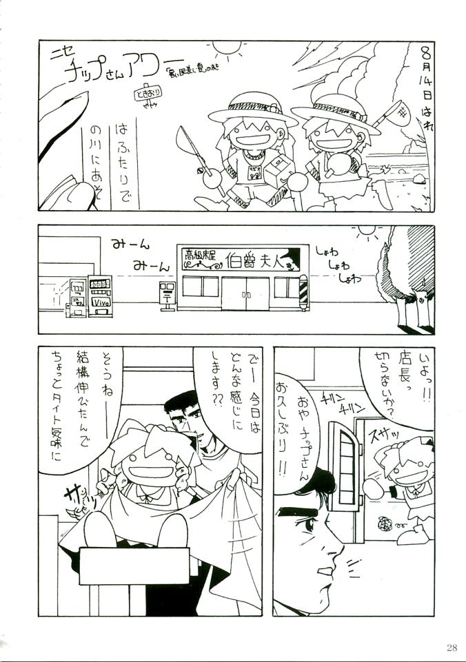 (C68) [AKKAN-Bi PROJECT (Yanagi Hirohiko)] RED BRAVO (Mobile Suit Gundam Seed Destiny) [French] {SAXtrad} [Decensored] - Page 27