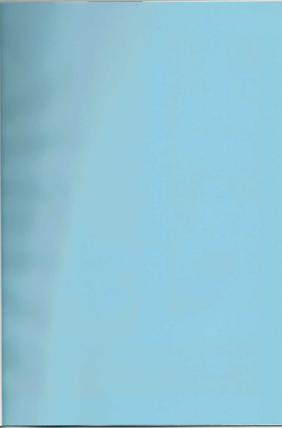 [ETERNAL WORLD (zero)] Yagami Shire to (Mahou Shoujo Lyrical Nanoha) - Page 2