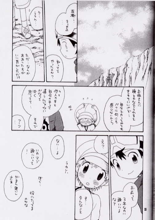 (C62) [Kuruguru DNA (Hoshiai Hilo)] Brother Blue Berry (Digimon Frontier) - Page 20