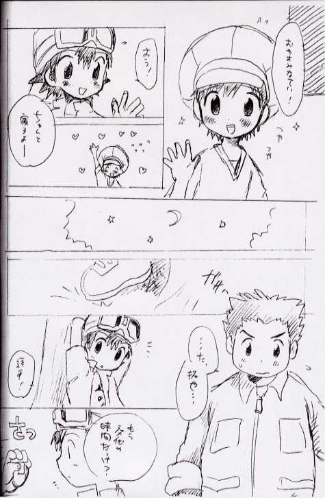 [Kuruguru DNA (Hoshiai Hilo)] Seishun 18 Kippu (Monochro Hyoushi) (Digimon Frontier) - Page 13