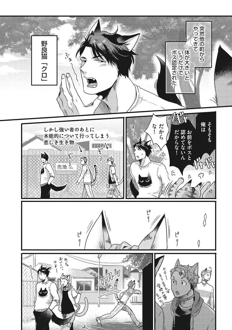 [Ikuyasu] Hatsujou Kemono Biyori (Ongoing) - Page 8