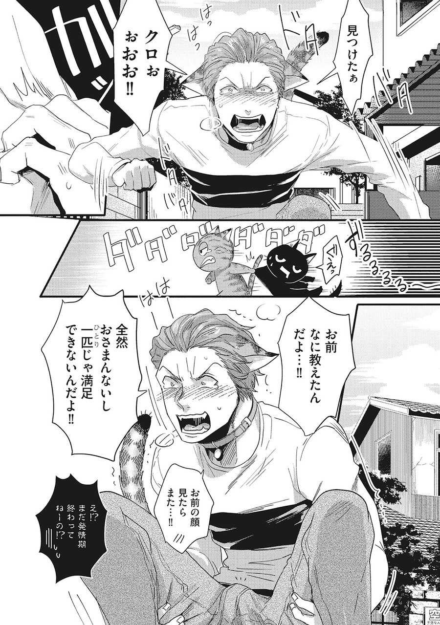 [Ikuyasu] Hatsujou Kemono Biyori (Ongoing) - Page 38