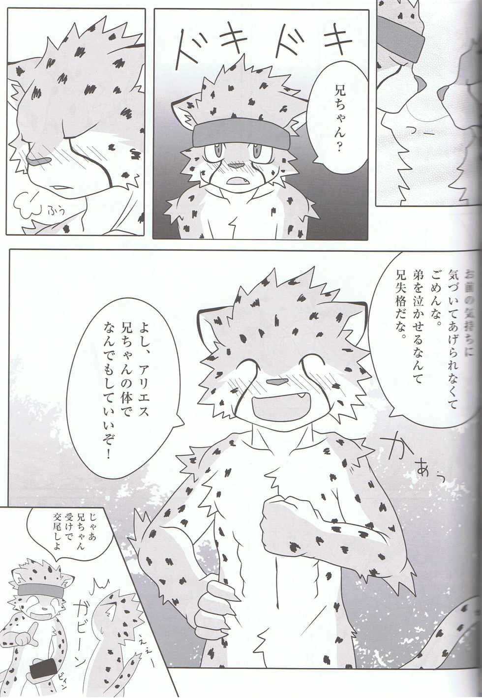 (C74) [ToraKaji (Inugami Toraya, Kaji)] Sora o Kakeru Cheetah (Cheetahmen) - Page 13