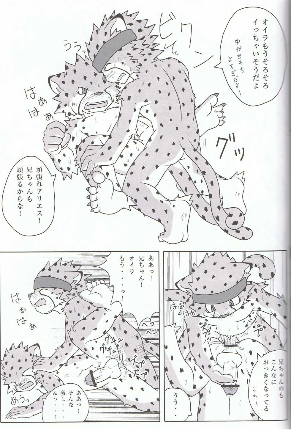 (C74) [ToraKaji (Inugami Toraya, Kaji)] Sora o Kakeru Cheetah (Cheetahmen) - Page 15