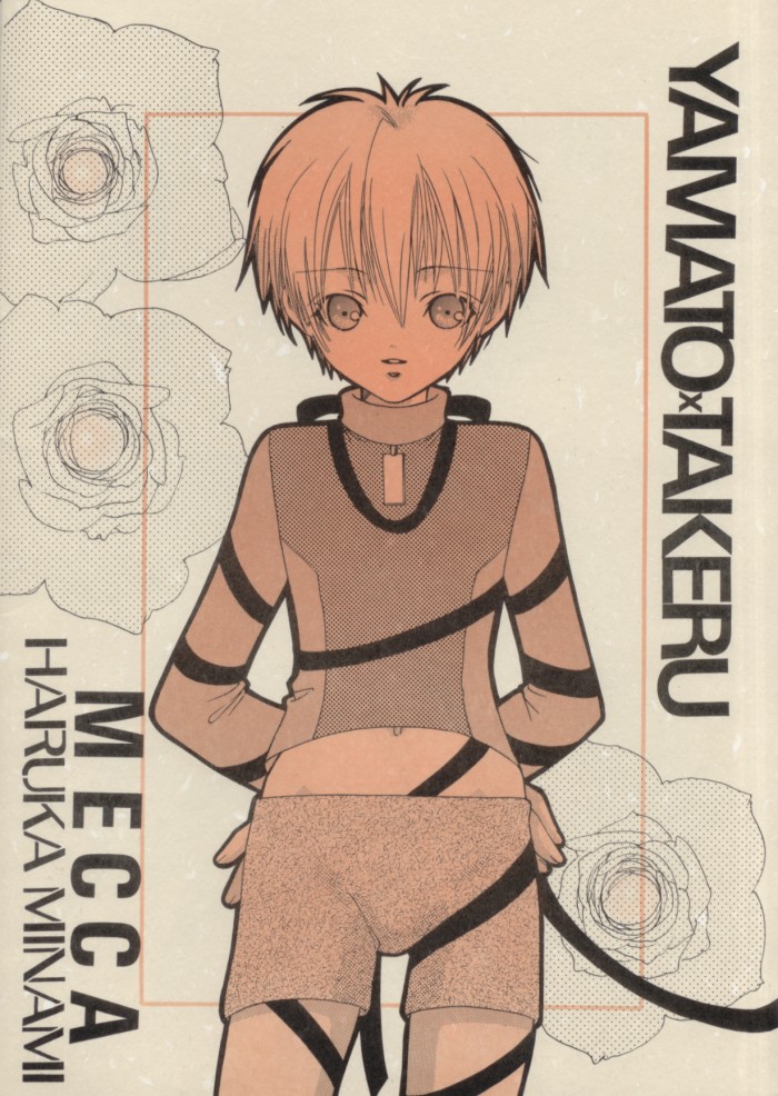 [MECCA (Minami Haruka)] PORCELAIN (Digimon Adventure 02) - Page 22