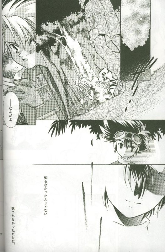 (C58) [Megumi (Saitoh Maho)] Cyber Frontier (Digimon Adventure) - Page 14