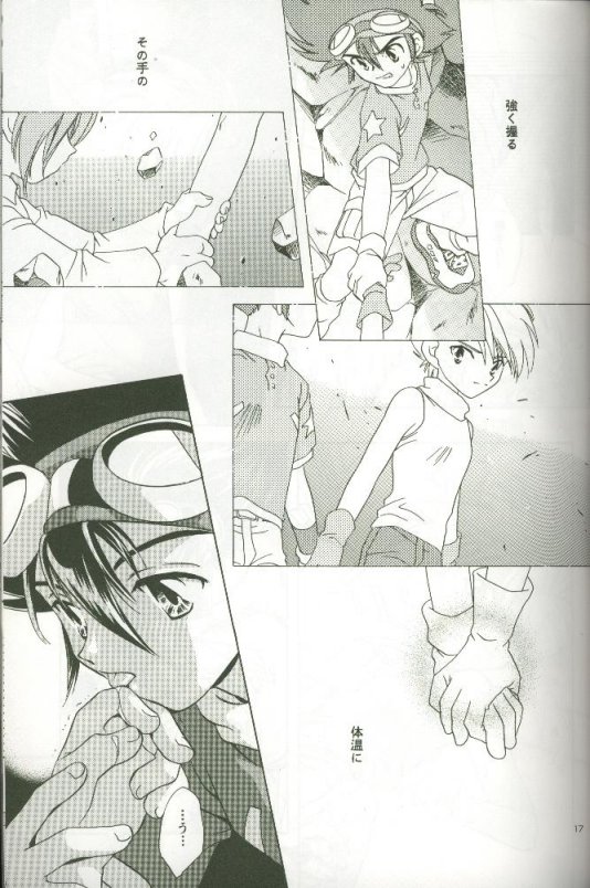 (C58) [Megumi (Saitoh Maho)] Cyber Frontier (Digimon Adventure) - Page 15