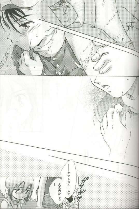 (C58) [Megumi (Saitoh Maho)] Cyber Frontier (Digimon Adventure) - Page 17