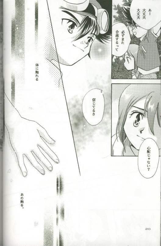 (C58) [Megumi (Saitoh Maho)] Cyber Frontier (Digimon Adventure) - Page 18