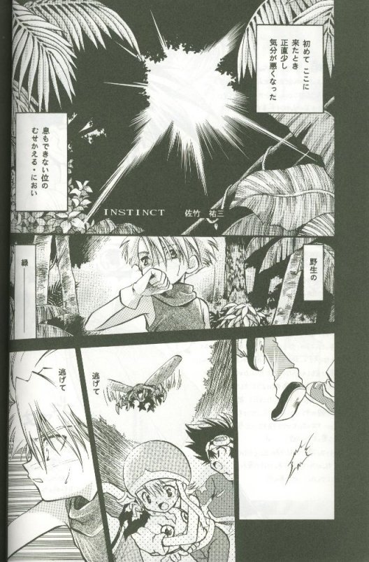 (C58) [Megumi (Saitoh Maho)] Cyber Frontier (Digimon Adventure) - Page 20