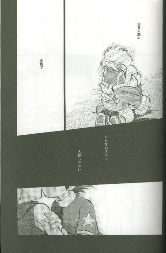 (C58) [Megumi (Saitoh Maho)] Cyber Frontier (Digimon Adventure) - Page 21