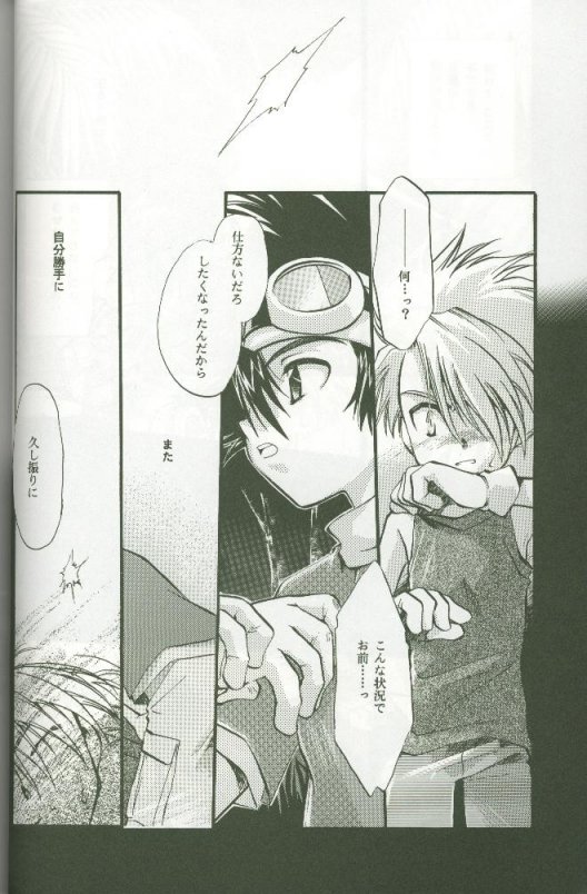 (C58) [Megumi (Saitoh Maho)] Cyber Frontier (Digimon Adventure) - Page 22